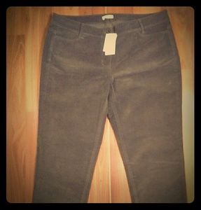 NWT J. Jill Corduroy pants Size 12 Petite